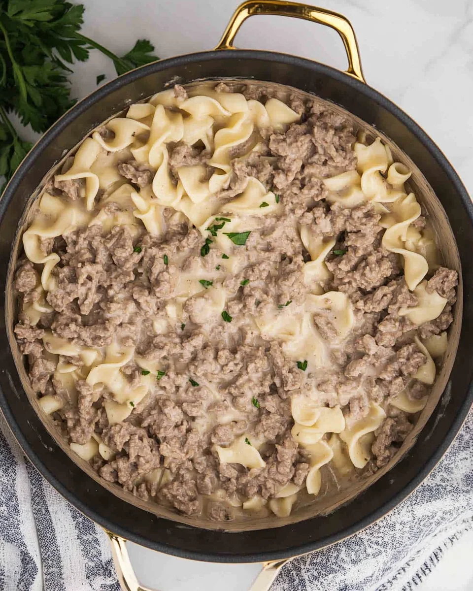 Ground Beef Stroganoff Ground Beef Stroganoff
