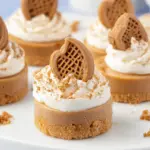 Mini Biscoff Cheesecakes