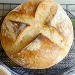 Speedy Same Day Sourdough Bread