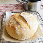 Speedy Same Day Sourdough Bread Recipe Speedy Same Day Sourdough Bread Recipe