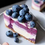 Raw Vegan Blueberry Cheesecake Raw Vegan Blueberry Cheesecake